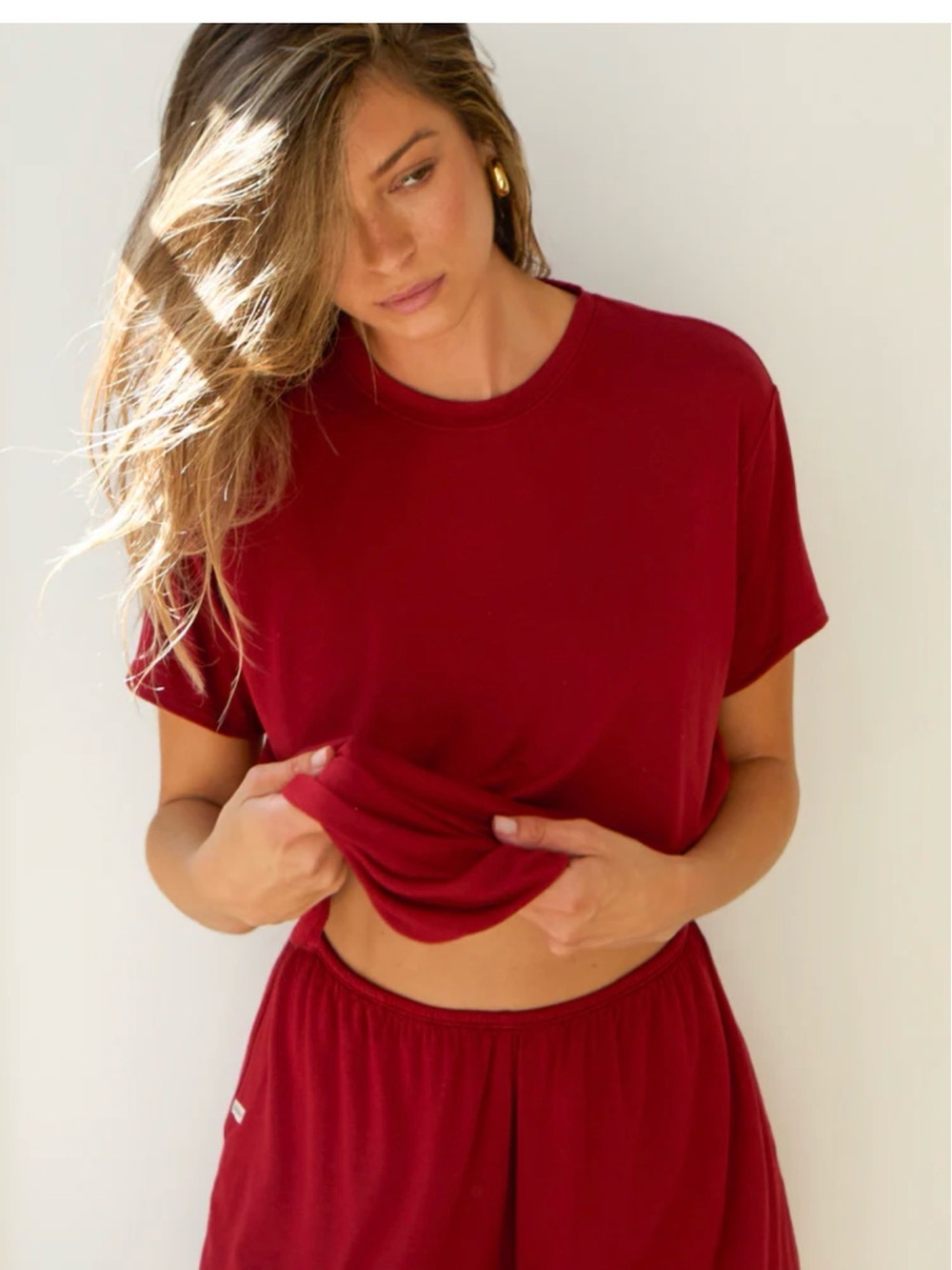 Joah Brown Short Sleeve Crewneck Boyfriend Tee in Cherry